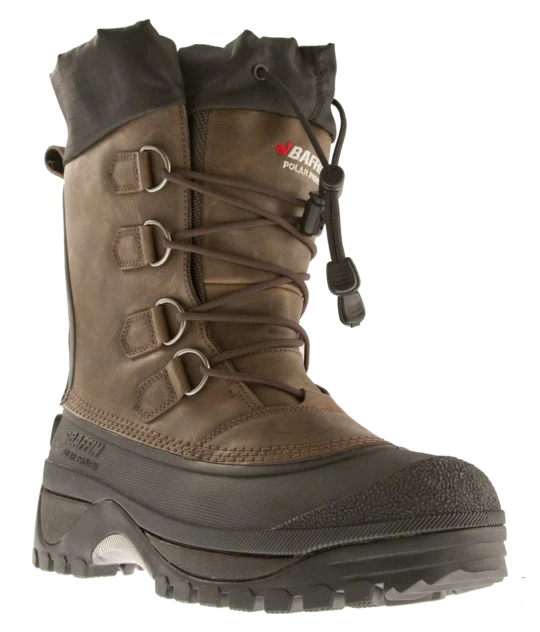 Baffin Muskox 1 Baffin Muskox