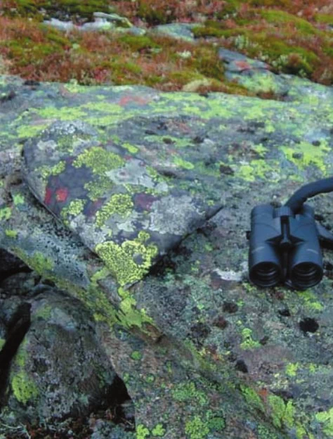 Jerven Fjellduken Hunter 7 Jerven Fjellduken Hunter – Image 7