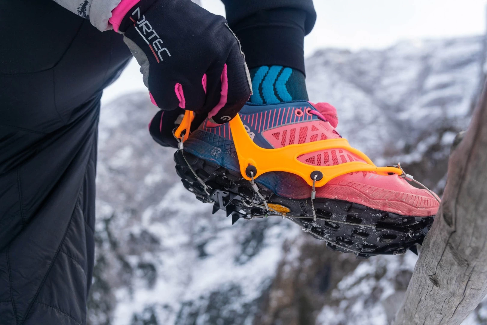 Crampons Nortec Trail 2.1 2 Crampons Nortec Trail 2.1 – Image 2