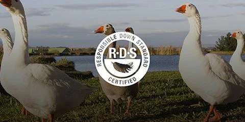 Sea To Summit Ascent ACII 20 Sea To Summit Ascent ACII â Image 20