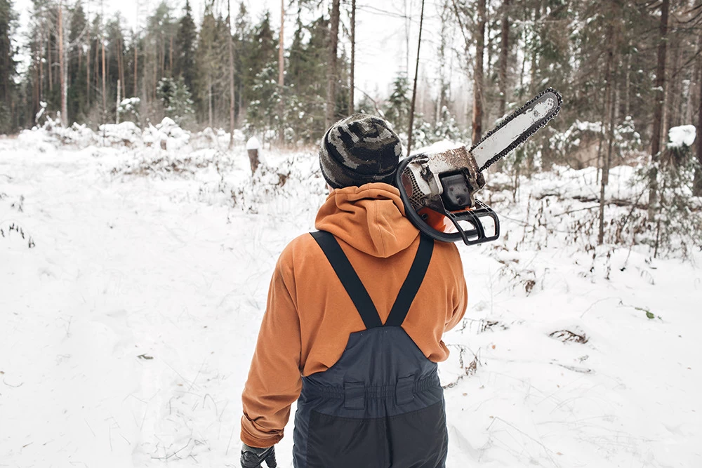 Crampons Nortec Alp Forest 6 Crampons Nortec Alp Forest – Image 6
