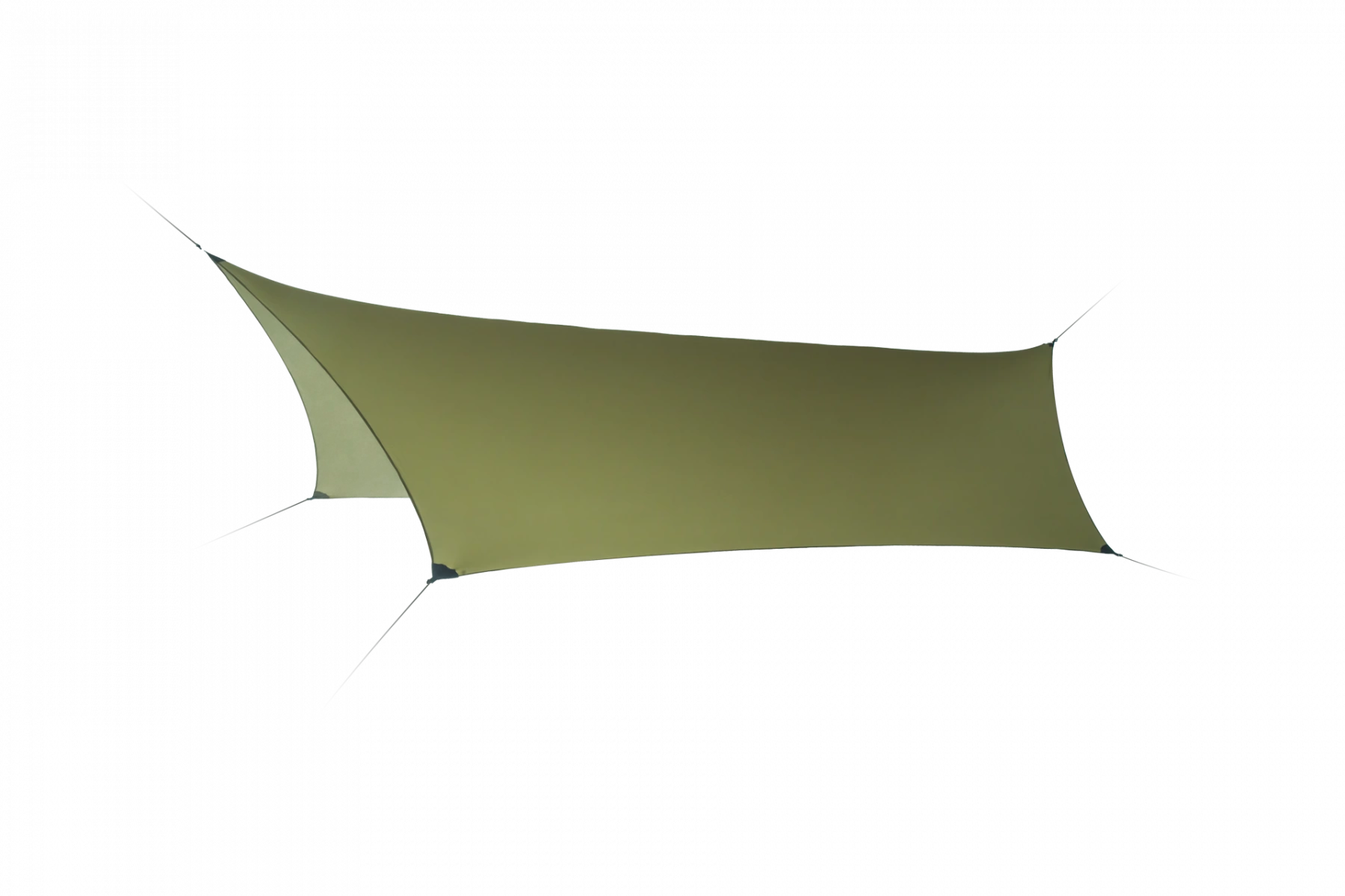 Lesovik Zmora 1 Lesovik Zmora