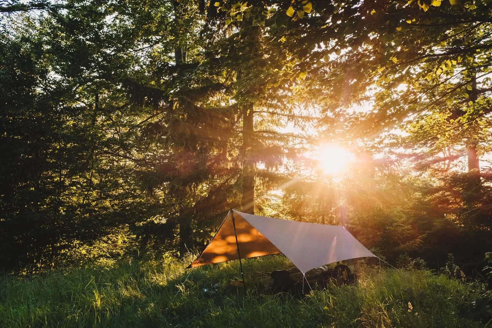 Lesovik Zmora 8 Lesovik Zmora – Image 8