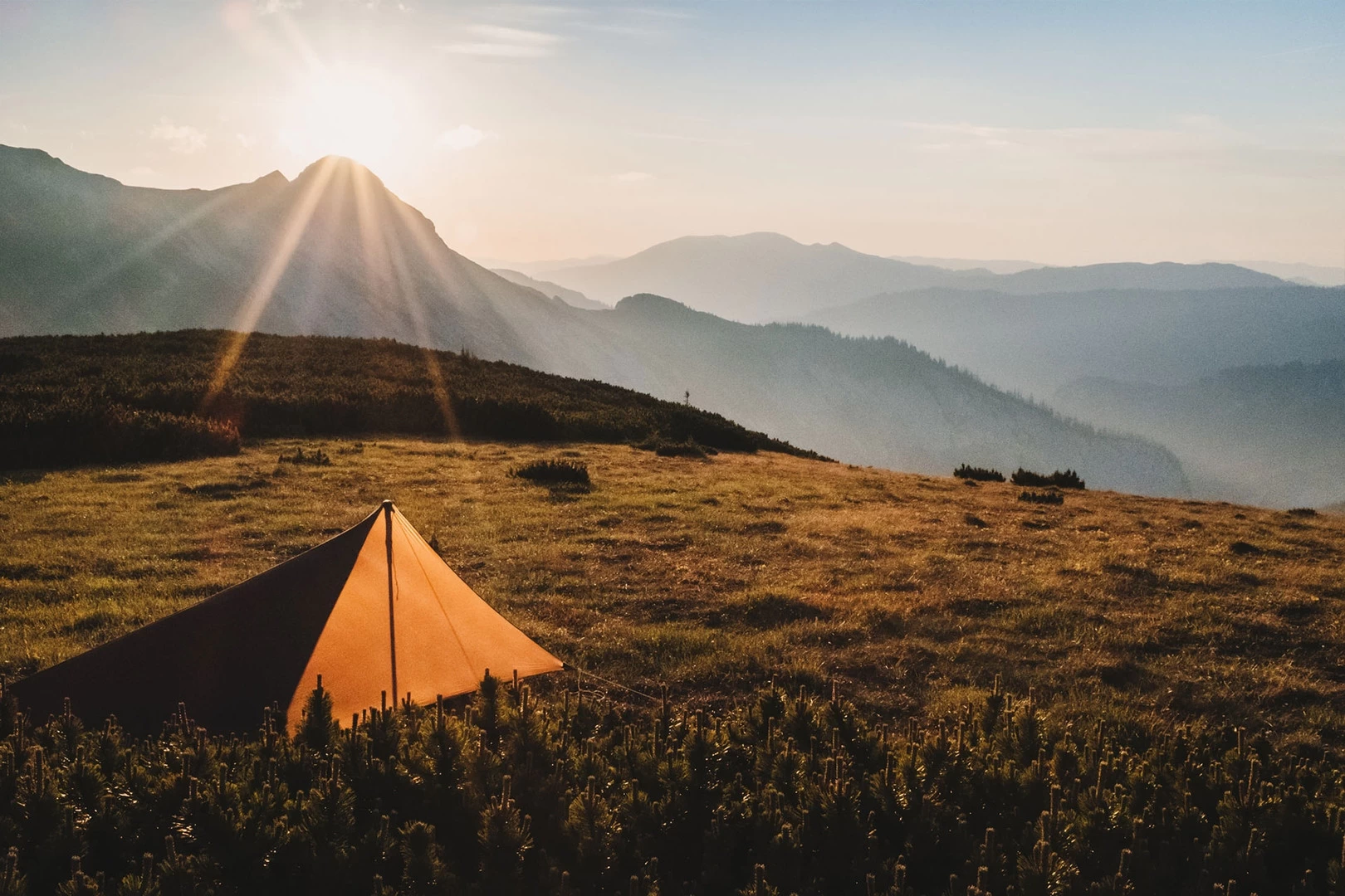 Lesovik Zmora 5 Lesovik Zmora – Image 5