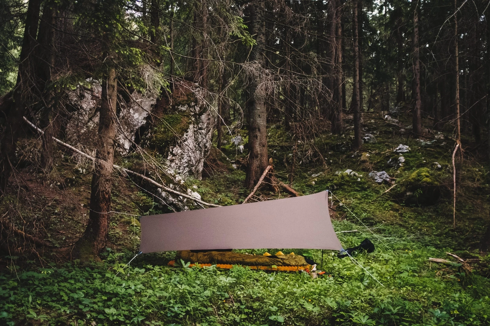 Lesovik Zmora 18 Lesovik Zmora – Image 18