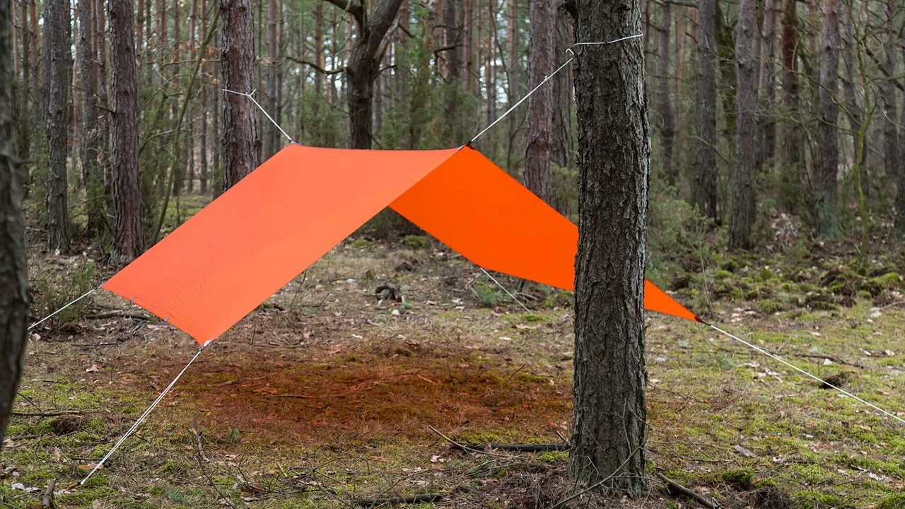 Lesovik Groza 8 Lesovik Groza – Image 8